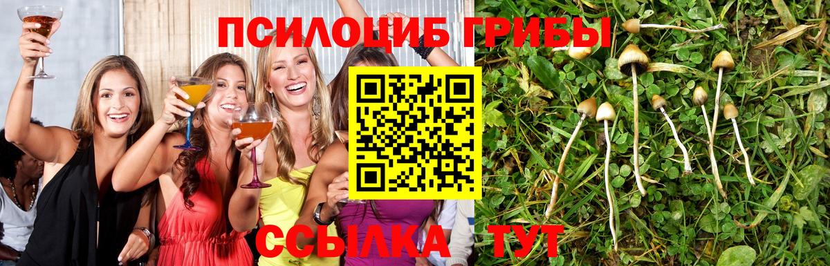 Галлюциногенные грибы Psilocybine cubensis  Вход с VPN  Псилоцибиновые грибы Psilocybe  закладки  Краснокамск 